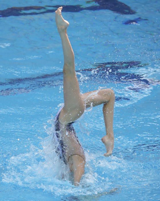 Olimpiadas 2016 | Final de dúos de natación sincronizada