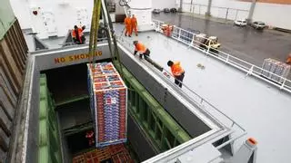 Sudáfrica enreda por segundo año: Exporta naranjas sin aplicar el tratamiento en frío
