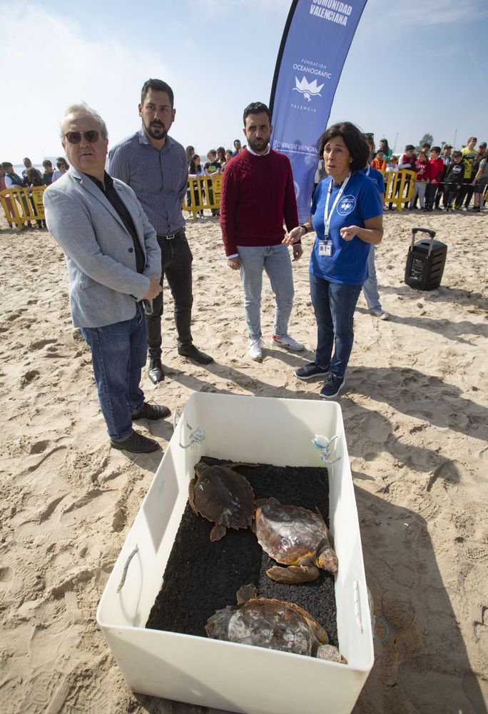 Suelta de tortugas en la playa del Port de Sagunt