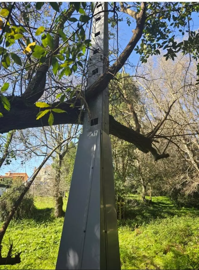 Vecinos de Ramil alertan de que viven en una «selva» y que temen un incendio