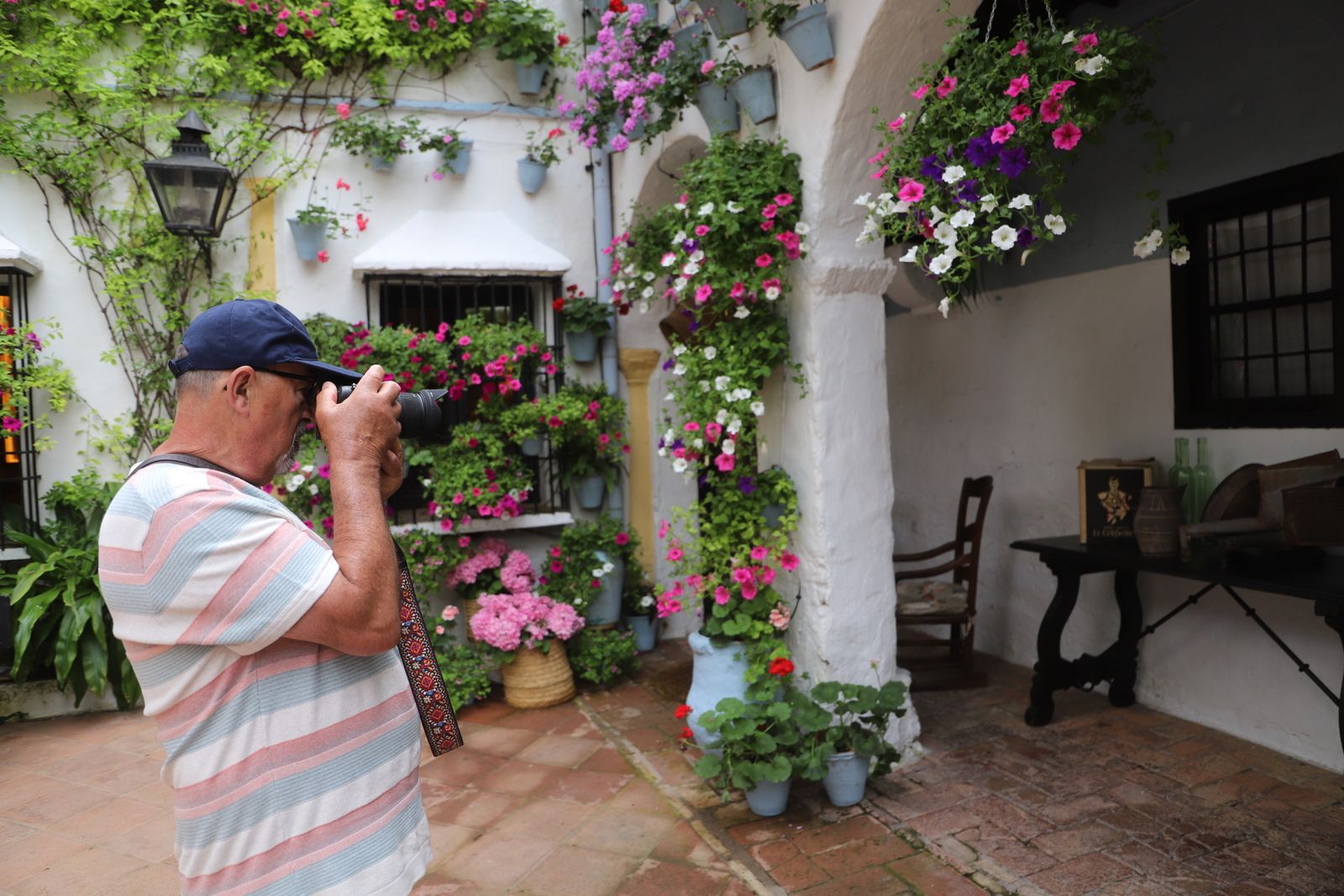 La Ruta 4 de los Patios de Córdoba, en imágenes