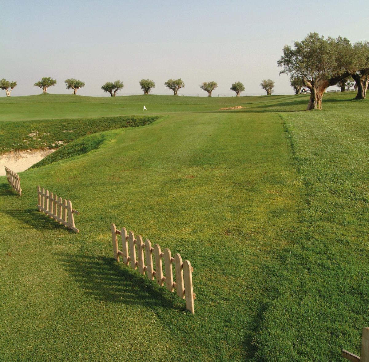 Uno de los grandes atractivos turísticos de Algorfa es su apuesta por el turismo de golf.