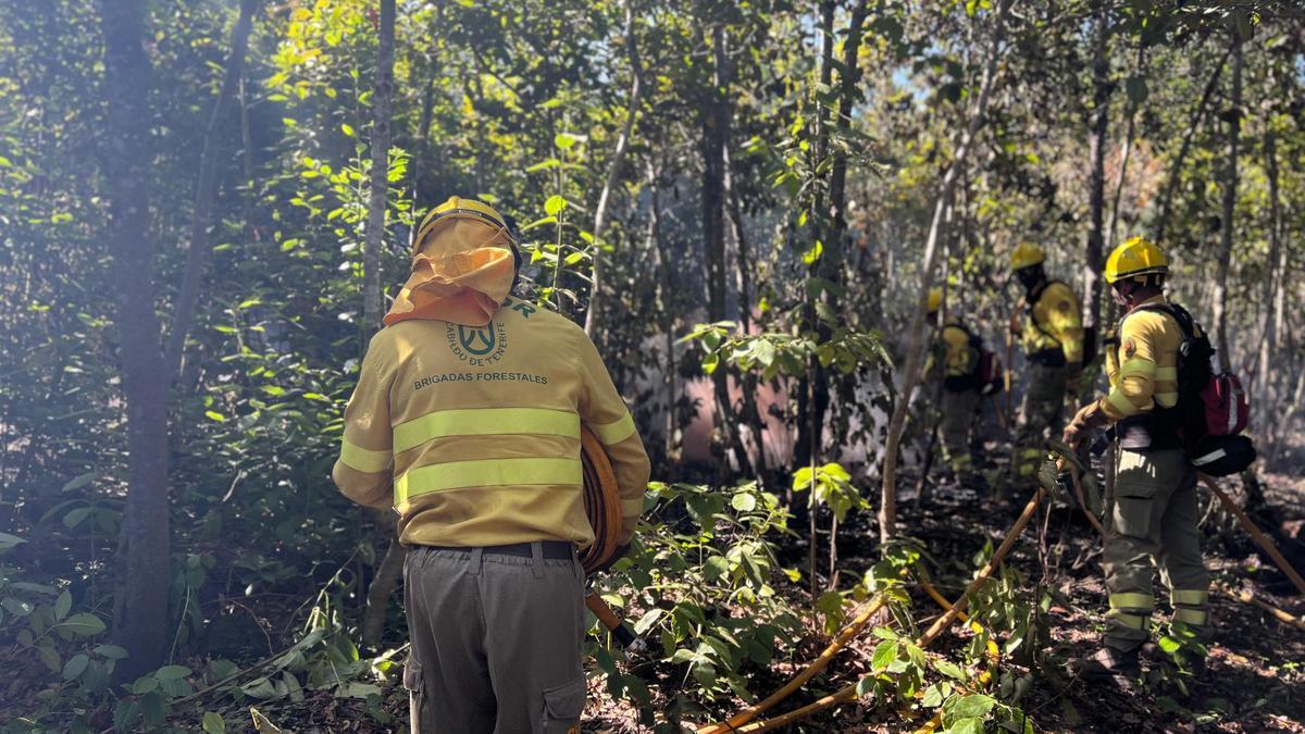 Intervención de las brigadas forestales