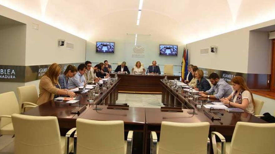 La comisión de investigación sobre Acorex y Caja Rural de Extremadura finaliza sin conclusiones