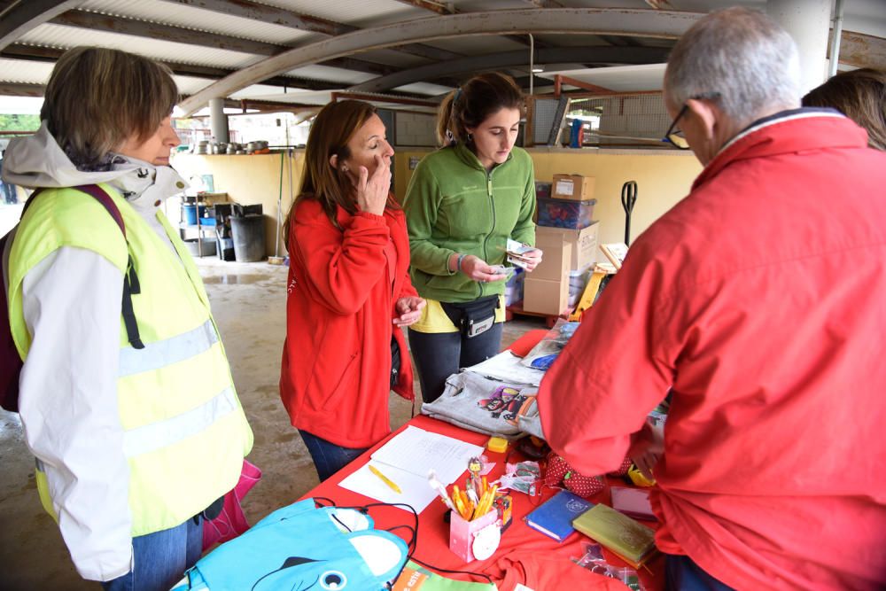 Puertas abiertas de la protectora de Alcoy