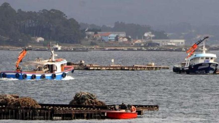 Bateas de mejillón en la ría de Arousa.  // Iñaki Abella