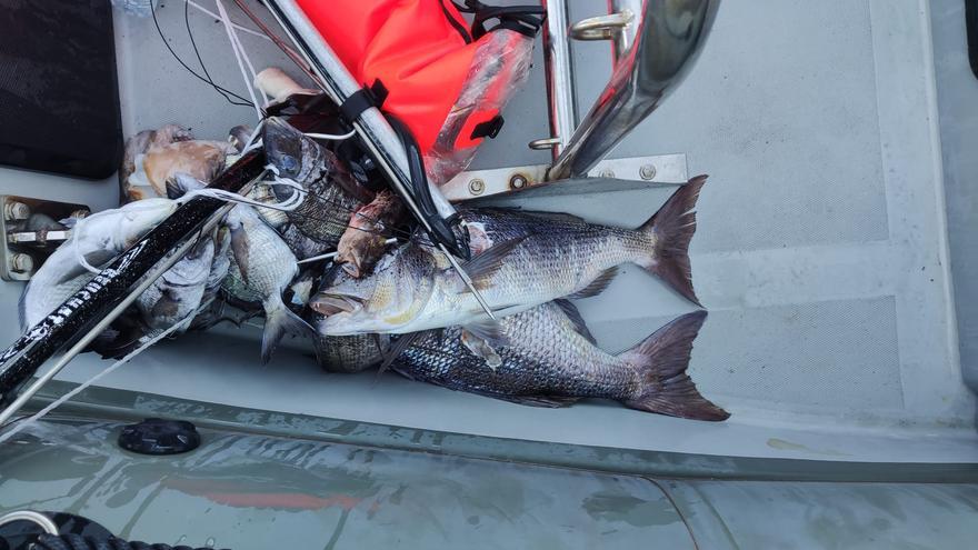 Sorprendido un pescador submarino furtivo en la reserva de la bahía de Palma