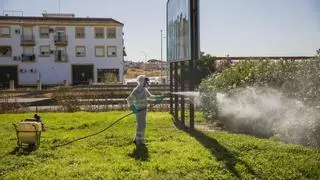 Andalucía intensifica el control para evitar el pico de enfermedades transmitidas por mosquitos