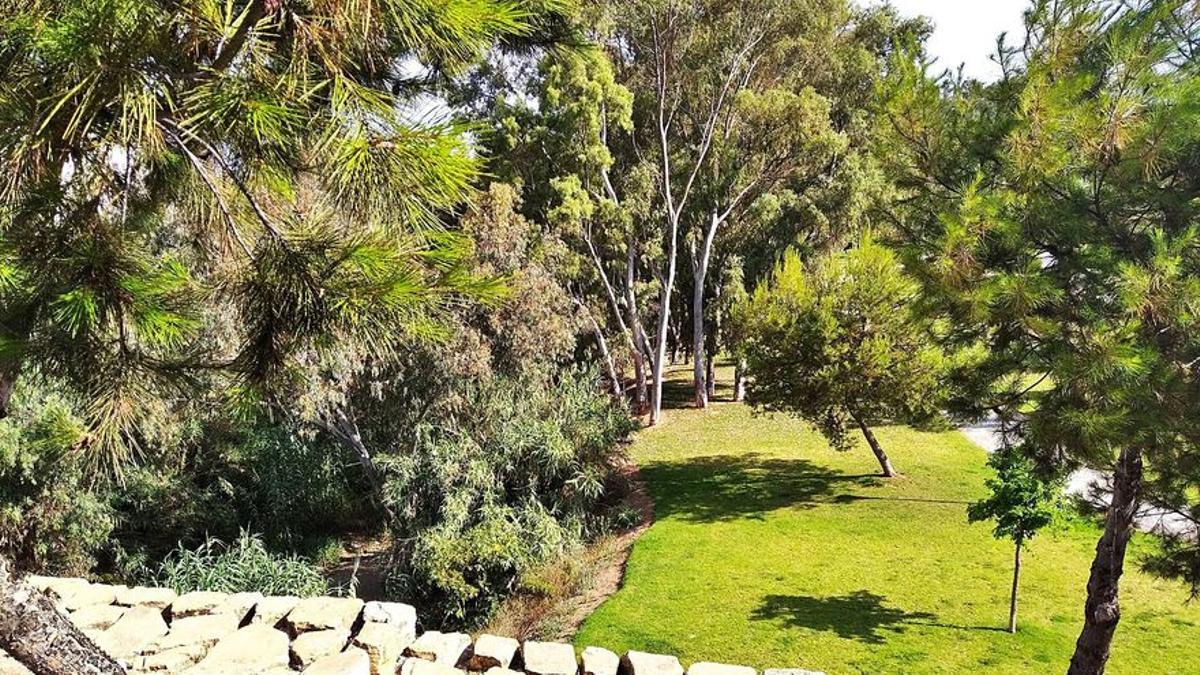 El arroyo de las Cañas, desde el puente de Soliva, con la zona verde que le acompaña