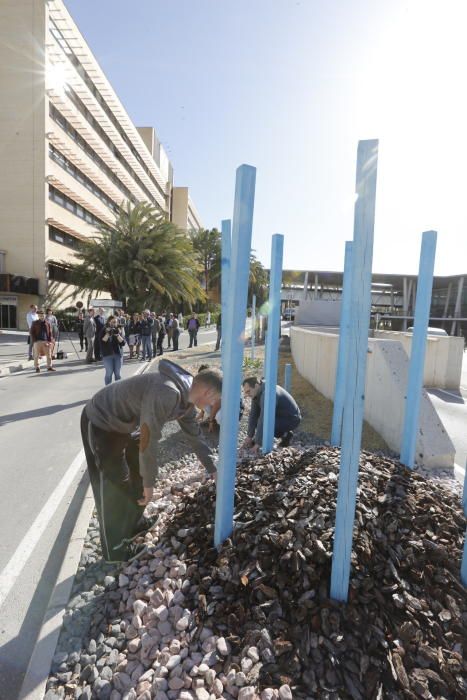 Los alumnos de Tamarit inauguran un jardín