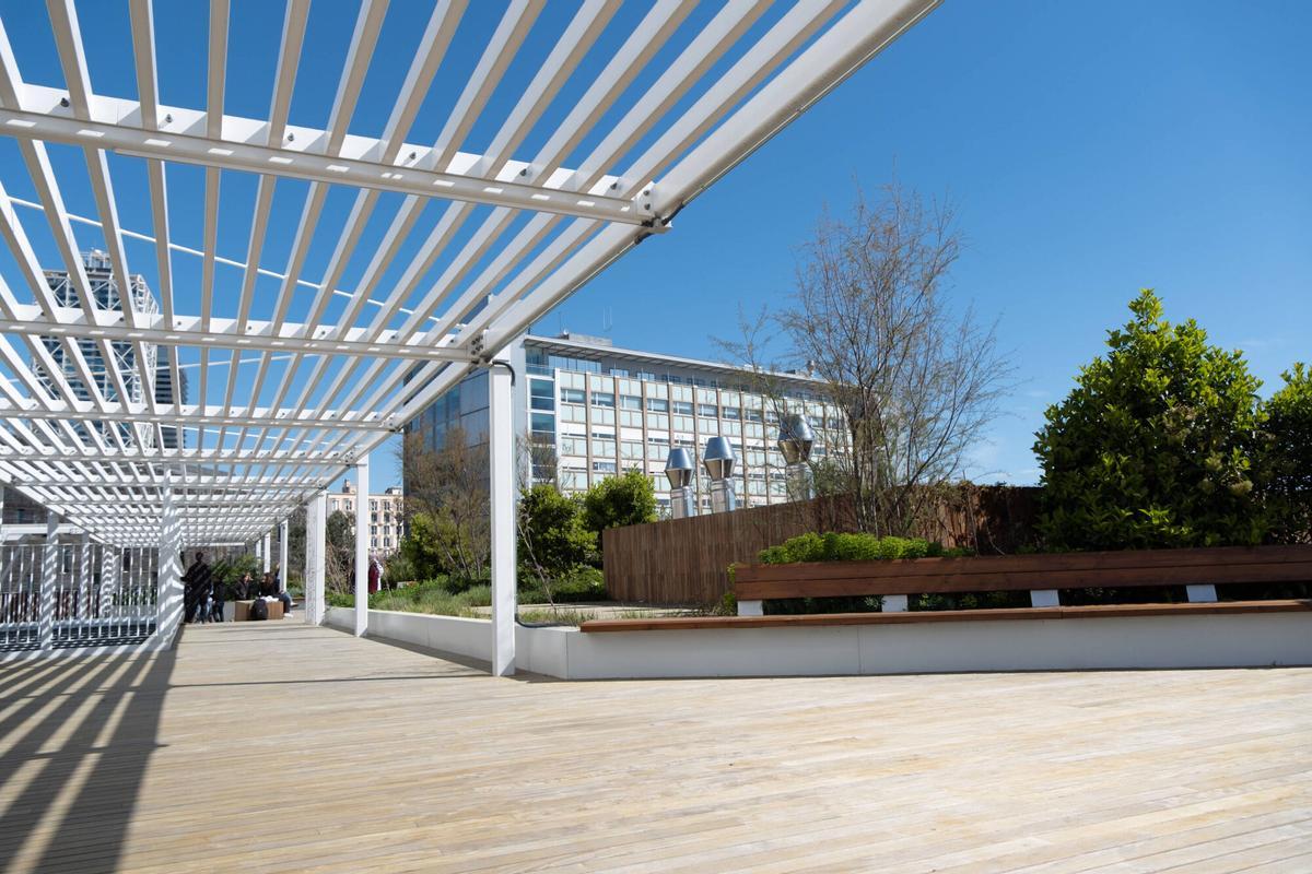 Vista de la nueva terraza con árboles para pacientes ingresados.