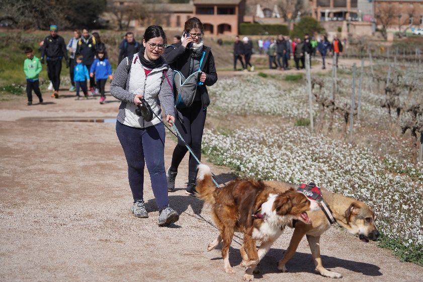 Transéquia 2024: Busca't a les fotos