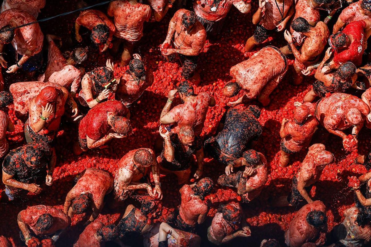Tomatina 2026, en Bunyol