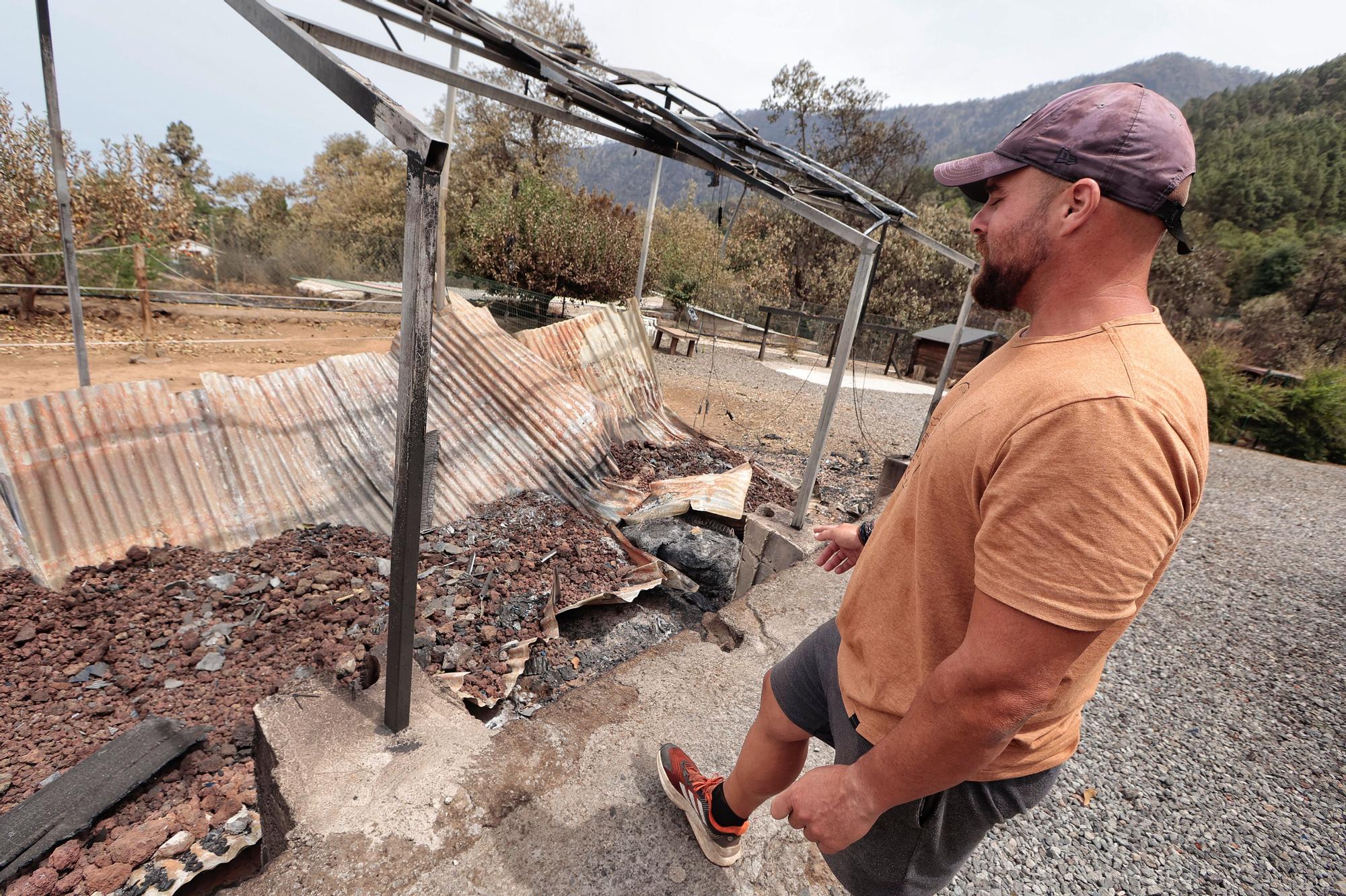 Vecinos de Aguamansa regresan a sus casas tras el incendio en La Orotava