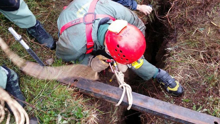 El rescate de un perro en un pozo vertical en el Llosorio.