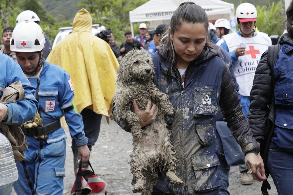 Equipos de rescate trabajan buscan desaparecidos tras una avalancha en Quetame, Colombia