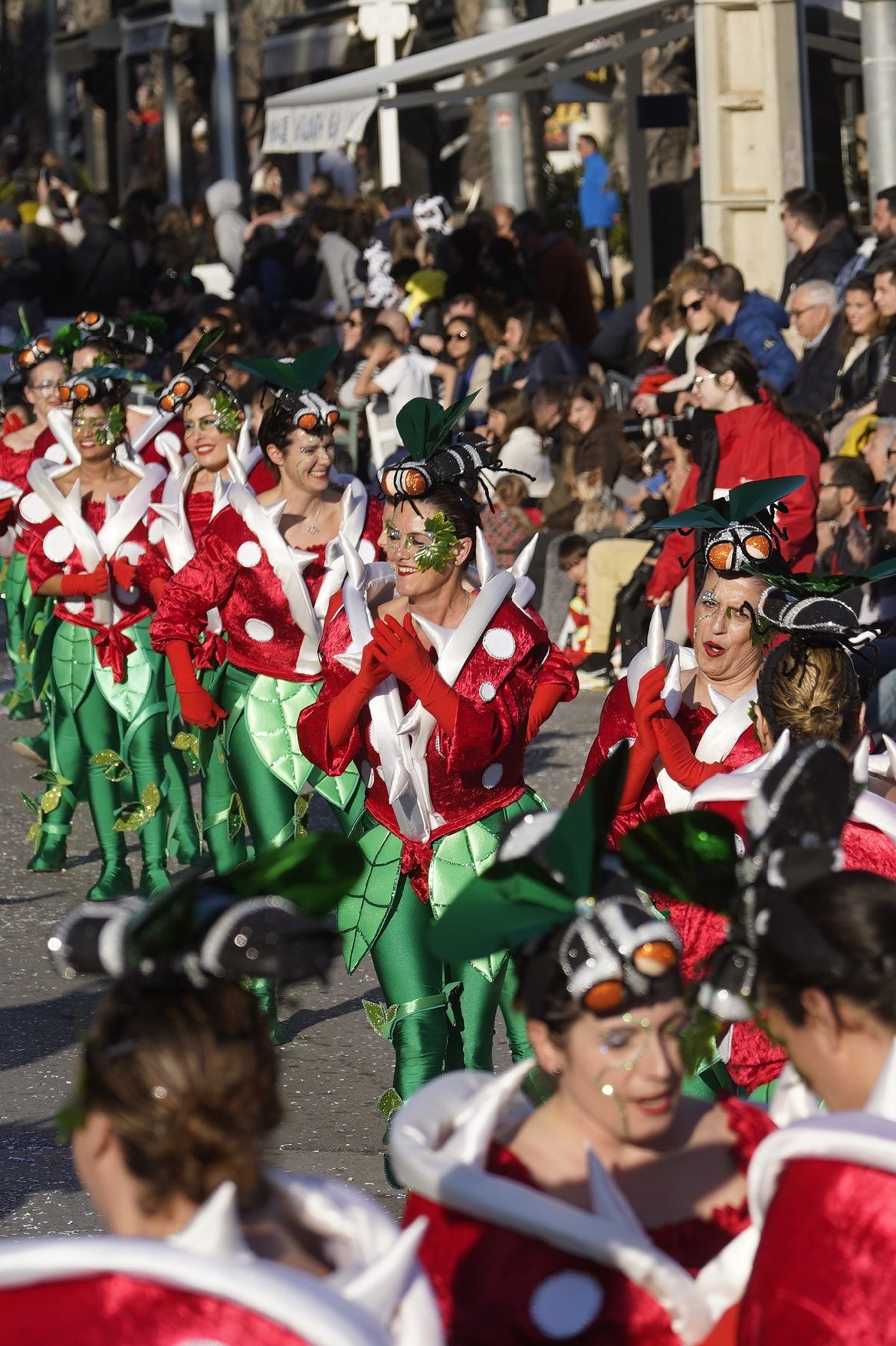 Les millors imatges de la gran rua de Carnaval de Platja d'Aro