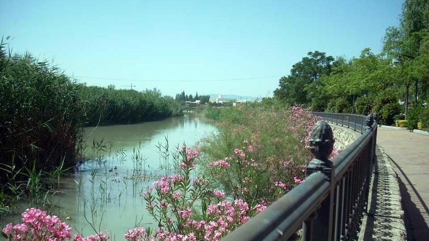 El río Segura, a su paso por Archena
