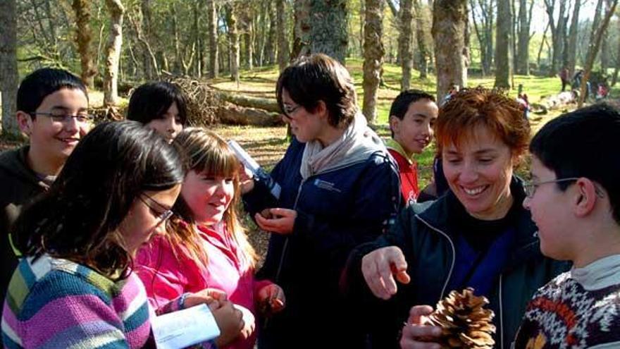 Los escolares visitaron la Fraga de Catasós y plantaron árboles en el Pontiñas.