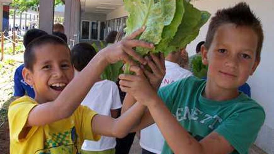 Una joven de 17 años de Xàbia enseña a 260 niños a cultivar hortalizas