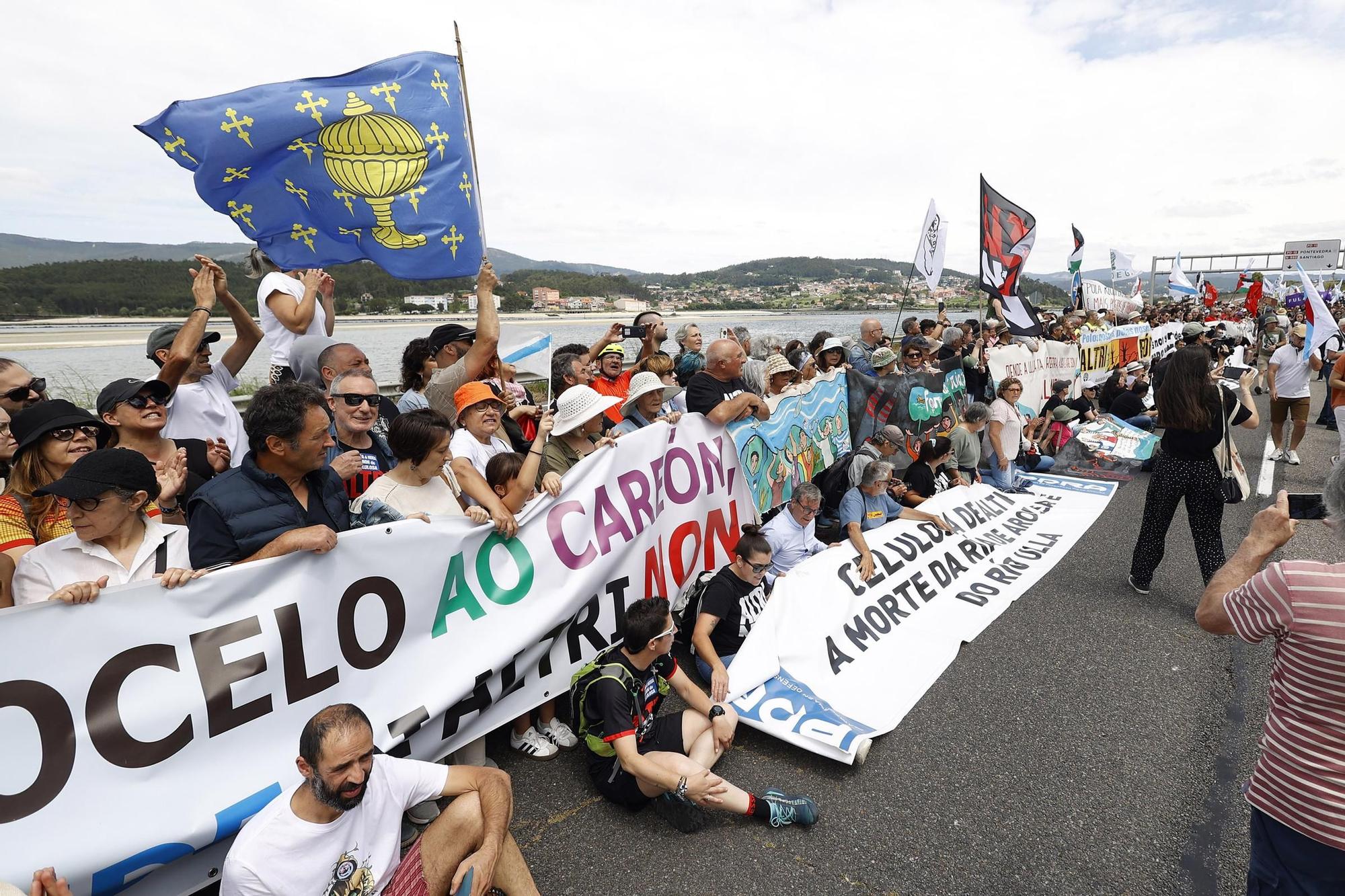 Miles de gallegos marchan de Pontevedra hasta Lourizán en protesta por las celulosas de Ence y Altri
