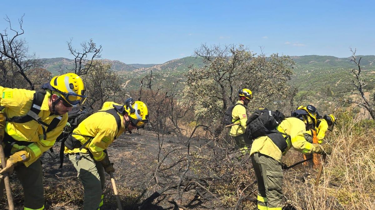 El Infoca extingue un incendio en la sierra de Montoro
