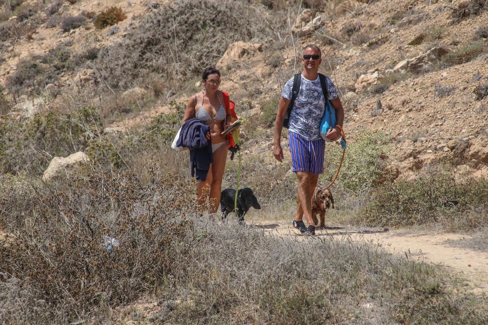 Los bañistas aseguran que no están en contra de la medida pero reclaman que se zonifique la playa para usuarios con perros y sin perros