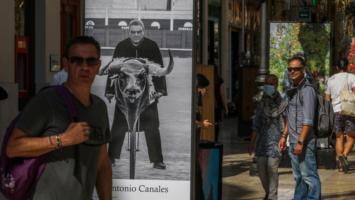 Fotos de la exposición 'Out Flamenco' de la calle Larios