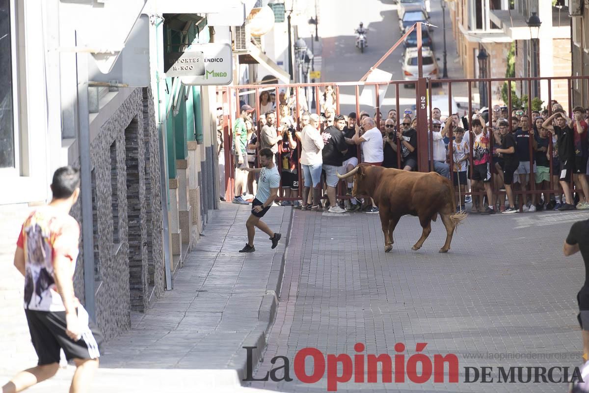 Tercer encierro de las Fiestas de Moratalla