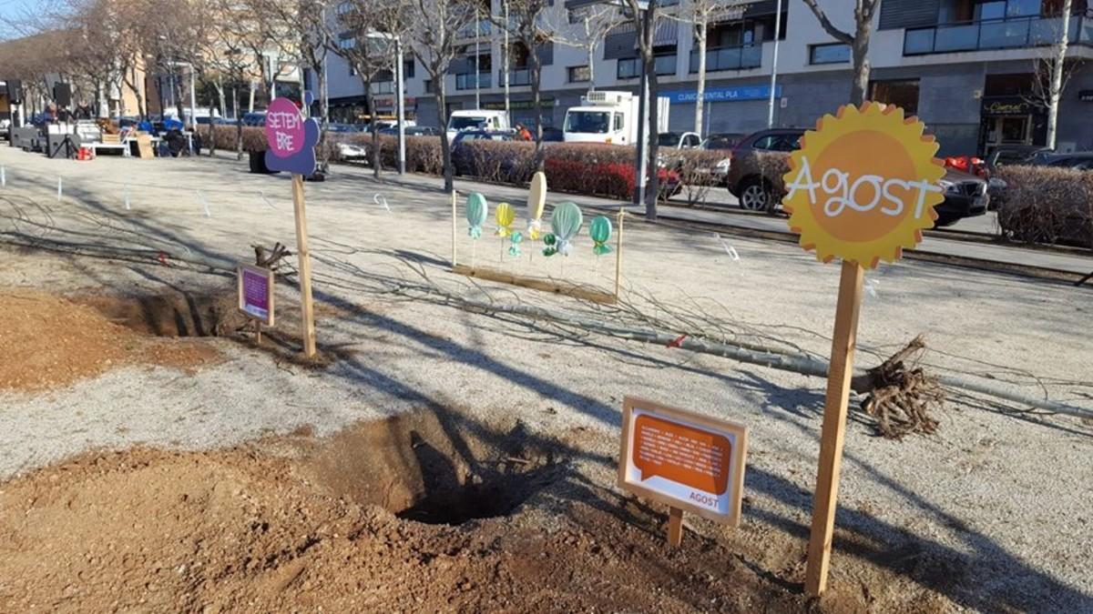 El Ayuntamiento de Viladecans organiza una plantada de árboles para recibir a los bebés de 2017.