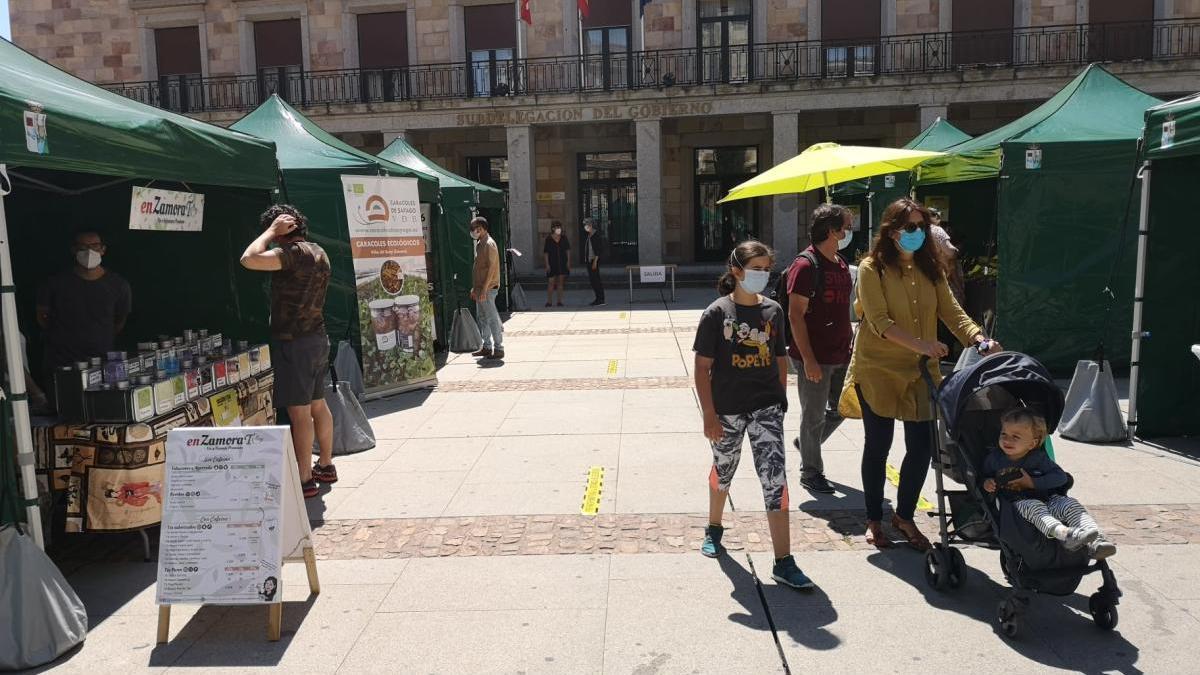 Mercado Ecológico en la plaza de la Constitución.