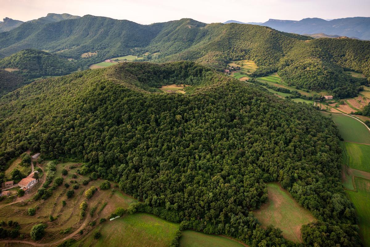 Un volcán convertido en un frondoso bosque con un prado verde.