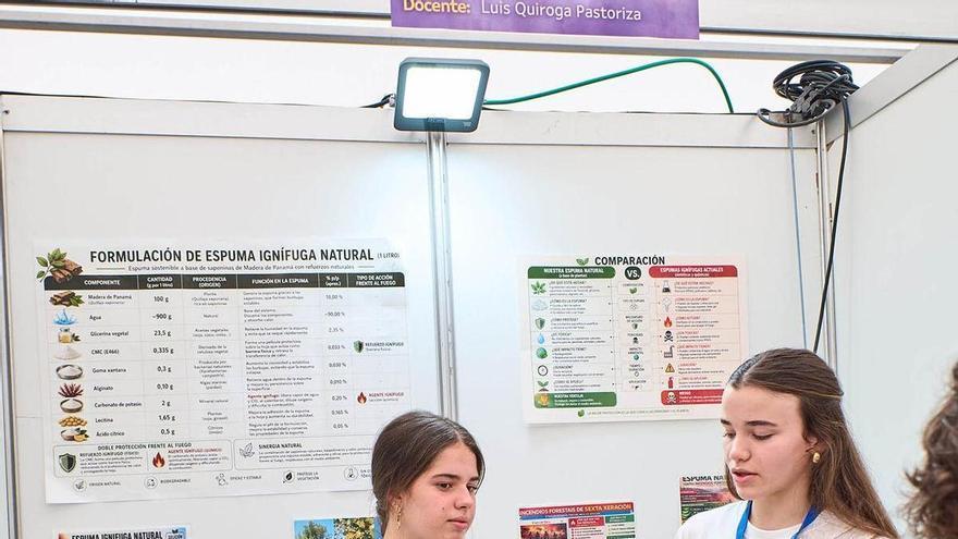 Alumnas de Salesianos de Vigo, ganadoras de Galiciencia con su espuma para proteger la vegetación ante un incendio