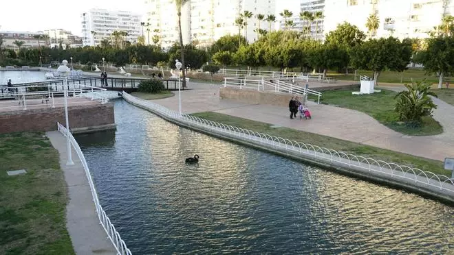 Finalizan los trabajos de mejora del sistema de depuración de agua del lago del Parque del Oeste