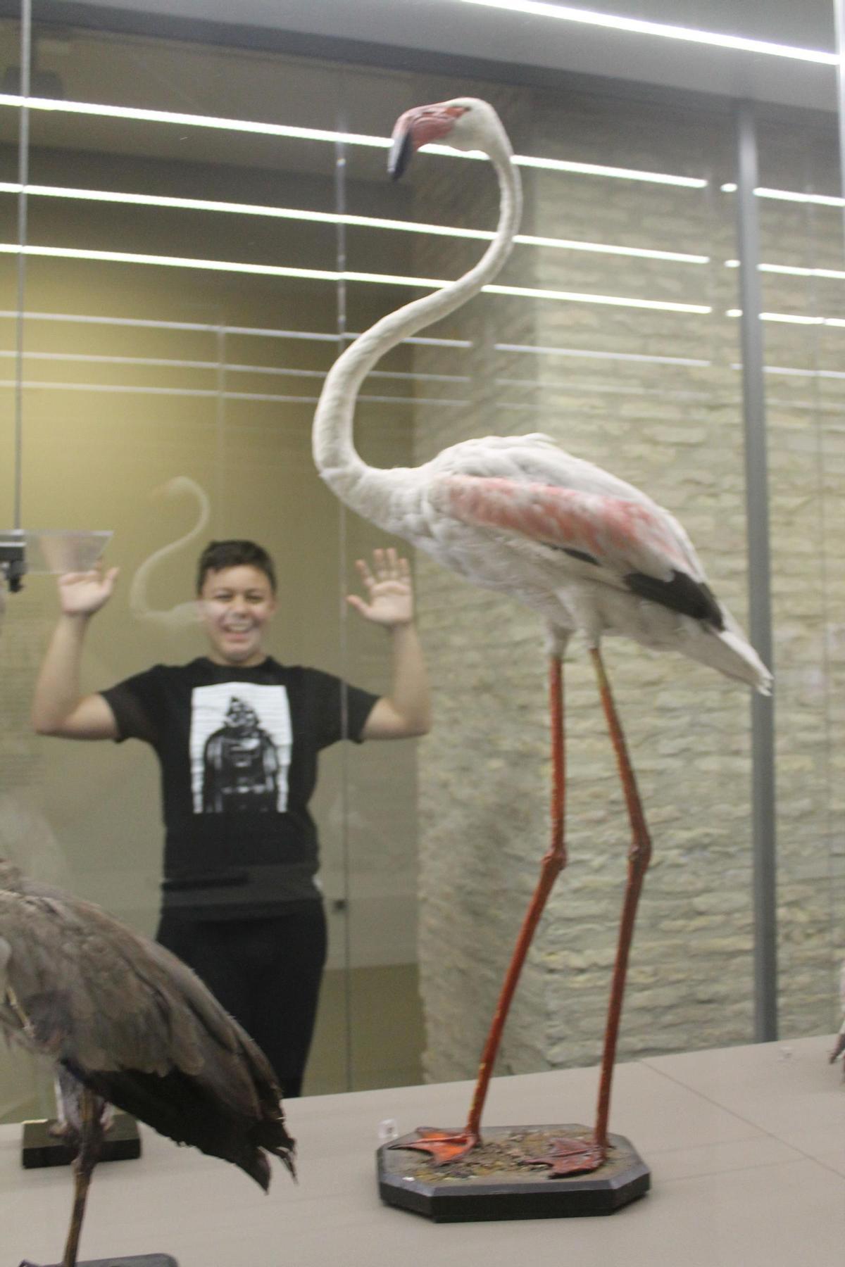 En la zona de animales exóticos de la exposición.