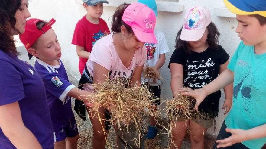 Las actividades extraescolares del Xesús Golmar cierran sus puertas