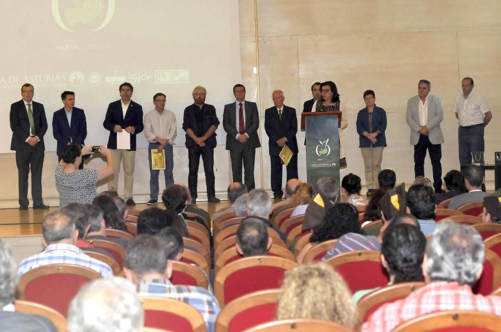 Presentación del VII Salón de la Sidra en el Recito Ferial de Santullano, Mieres