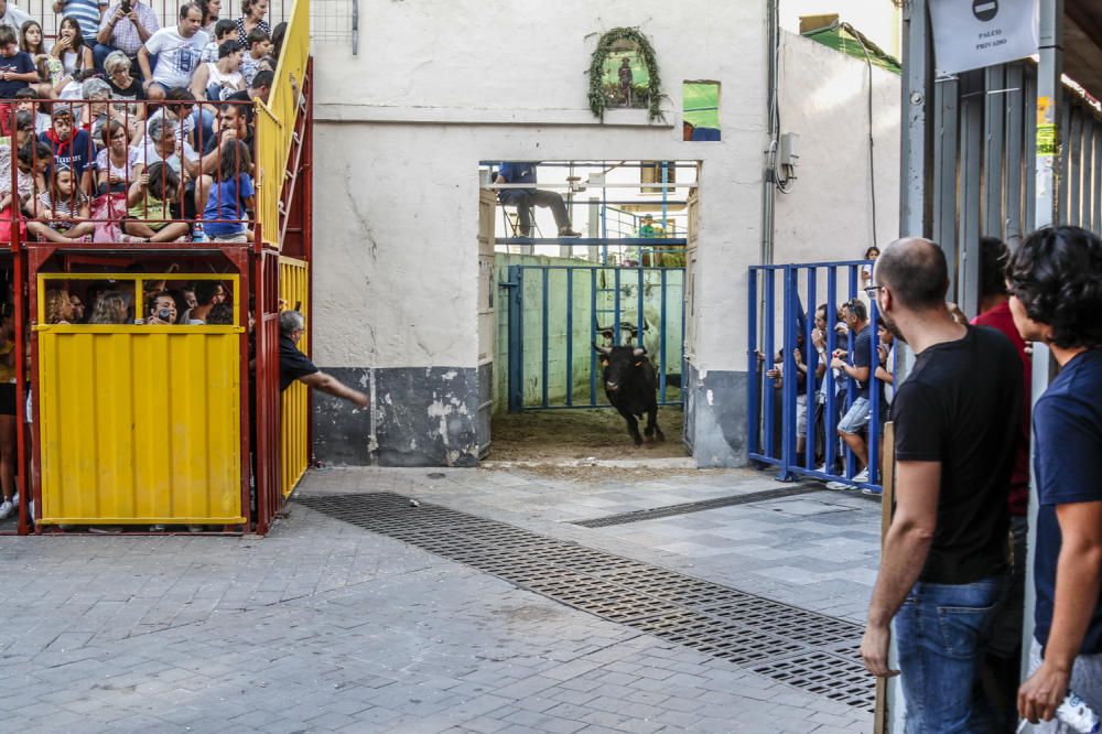 Fiestas de la Vaca de Castalla.