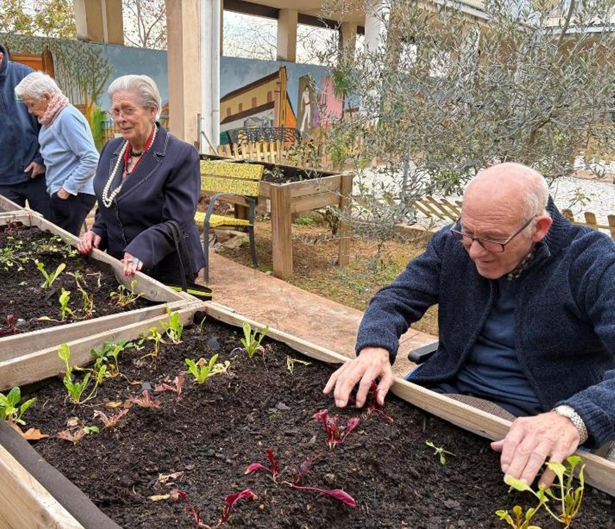Una de les activitats que organitza l’Associació de Familiars de Malalts d’Alzheimer Benvinguts d’Alginet amb els malalts.