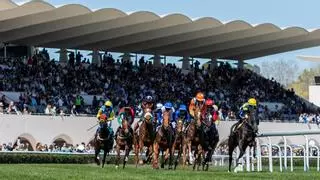 Galopes de emoción: un domingo de apuestas, adrenalina y tensión en el Hipódromo de la Zarzuela