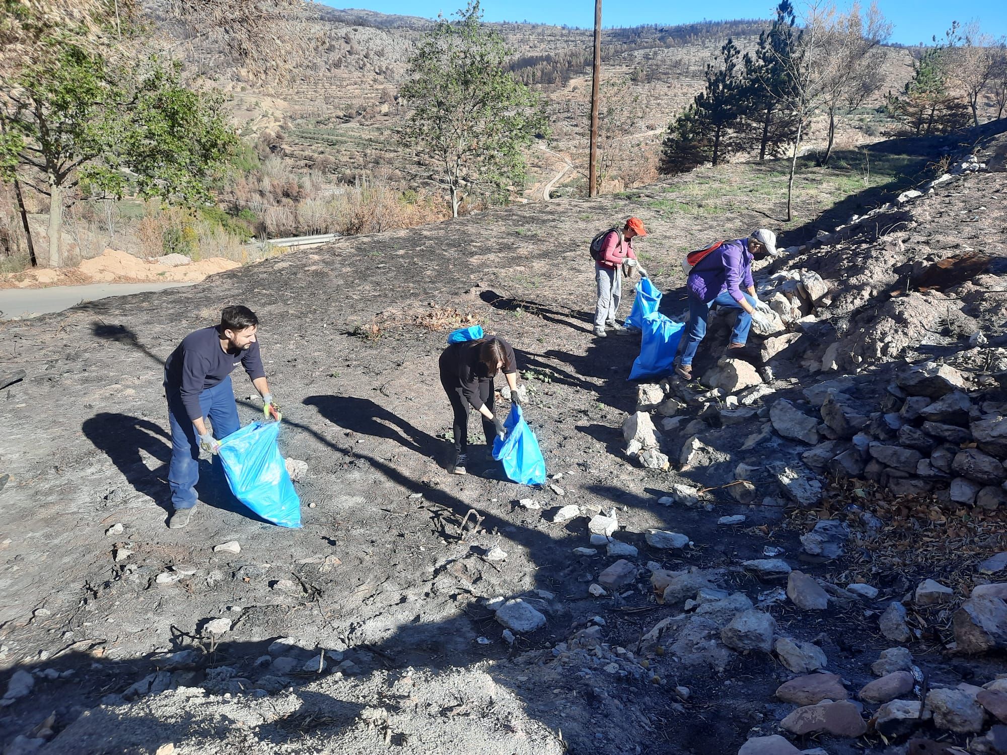 Descubre lo que han encontrado en una recogida de basura resurgida tras el gran incendio de Bejís