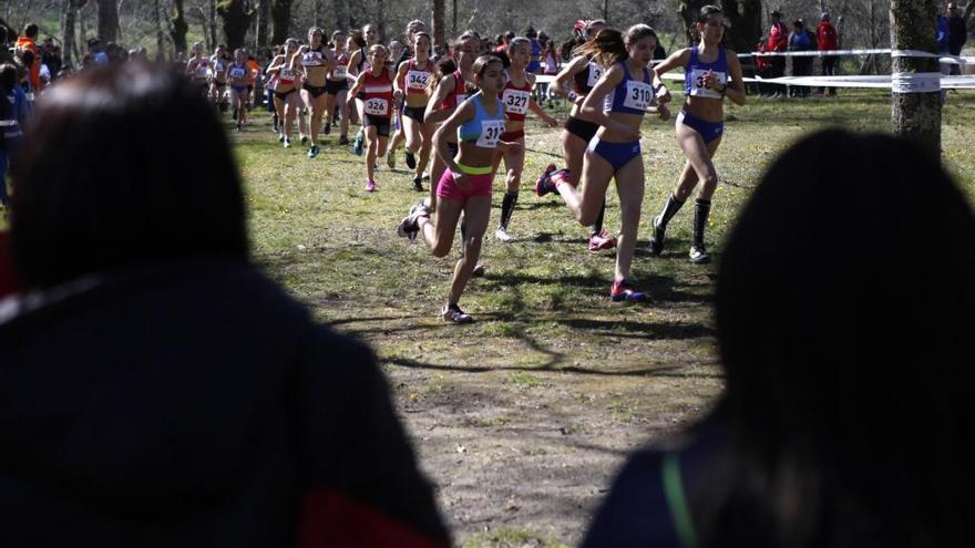 Imagen del Gallego de cross celebrado el año pasado en Liñares.