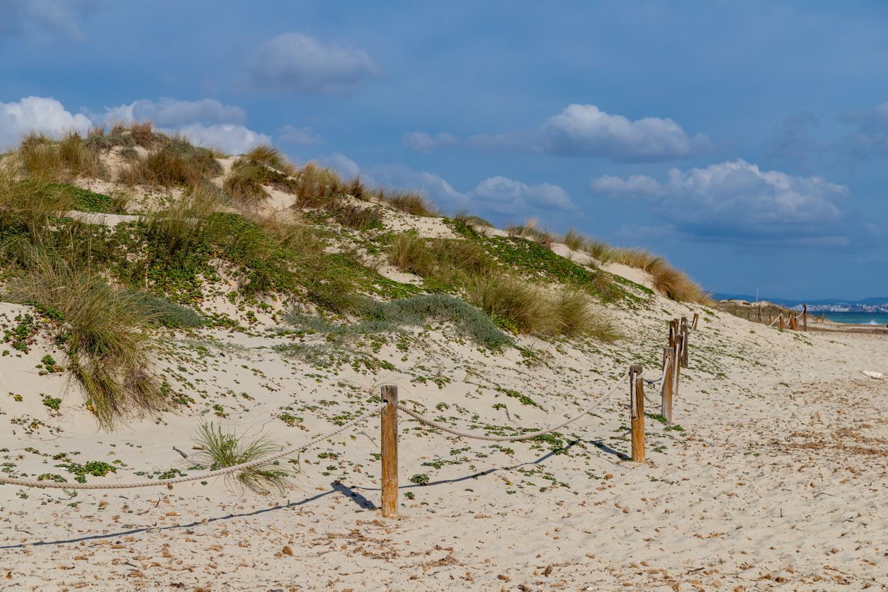 Dunas vírgenes en El Espalmador, Formentera.