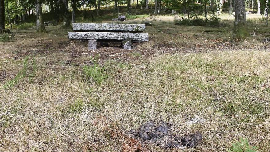 Estado que presenta el parque de Castiñeiras. // Santos Álvarez