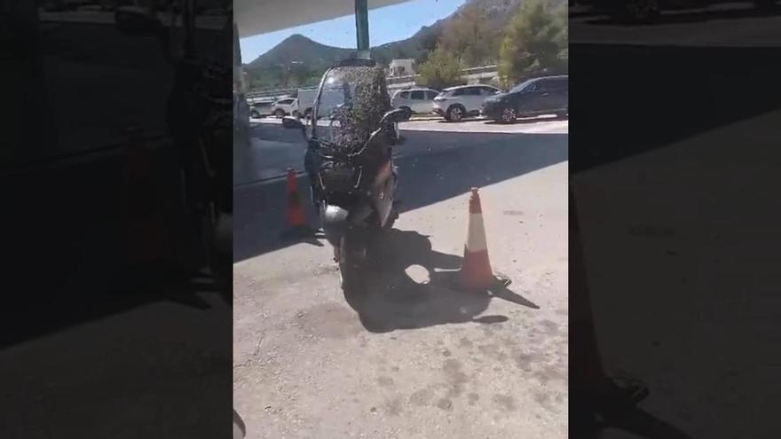 abejas se apodera de una moto en Alicante