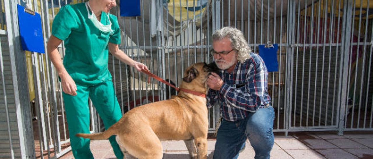 El veterinario Enrique Rodríguez y una trabajadora del Albergue de Bañaderos cuidan a uno de los perros abandonados, en enero de 2019.