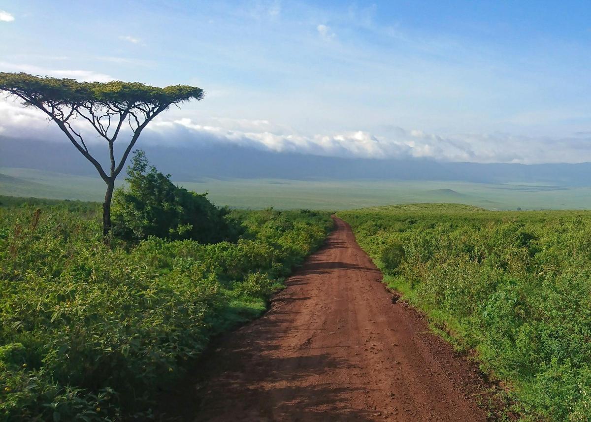 El paraíso natural de Tanzania