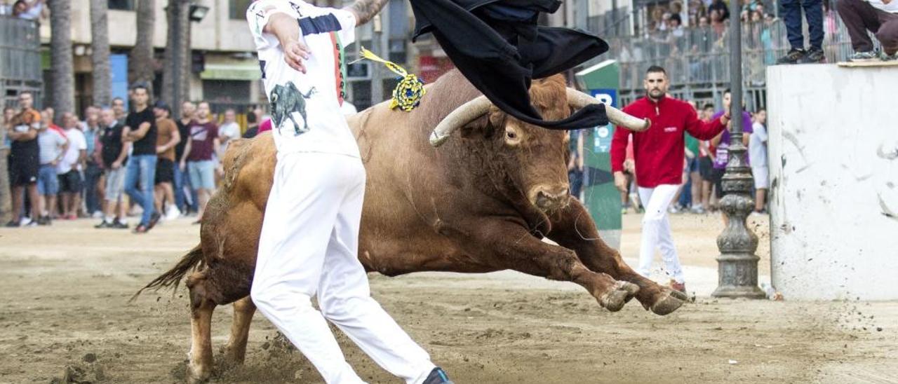 Cal y arena para los &quot;bous al carrer&quot;