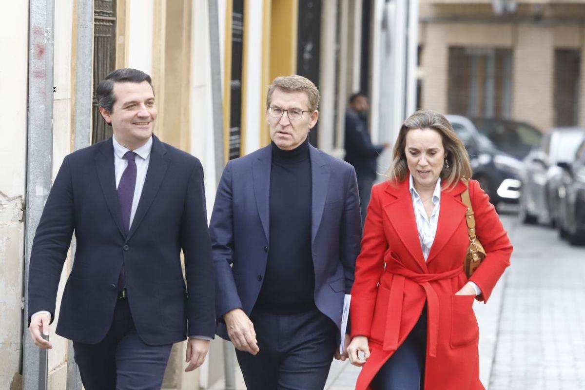 El PP de Feijóo celebra el 8M en Córdoba El PP de Feijóo celebra el 8M en Córdoba