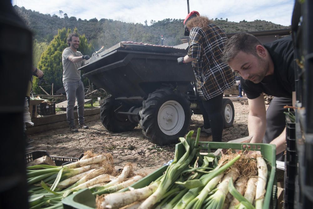 Les imatges de la calçotada popular del Regió 7